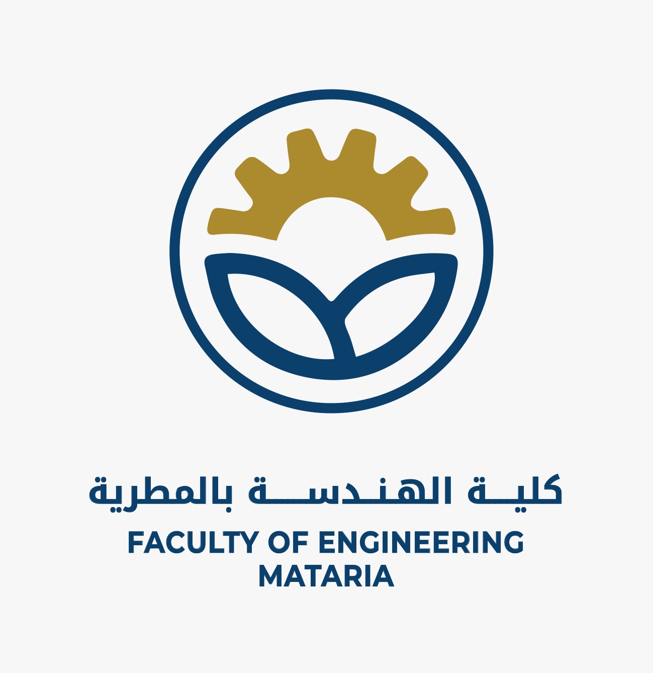 كلية الهندسة (المطرية)